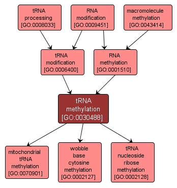 GO:0030488 - tRNA methylation (interactive image map)