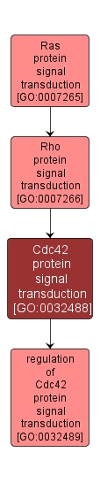 GO:0032488 - Cdc42 protein signal transduction (interactive image map)