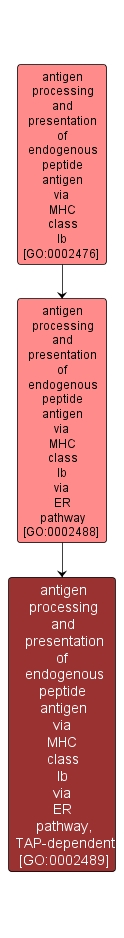 GO:0002489 - antigen processing and presentation of endogenous peptide antigen via MHC class Ib via ER pathway, TAP-dependent (interactive image map)
