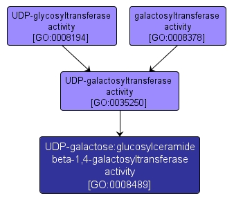 GO:0008489 - UDP-galactose:glucosylceramide beta-1,4-galactosyltransferase activity (interactive image map)