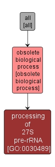 GO:0030489 - processing of 27S pre-rRNA (interactive image map)