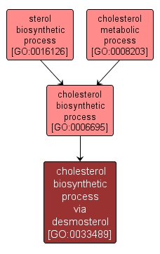 GO:0033489 - cholesterol biosynthetic process via desmosterol (interactive image map)