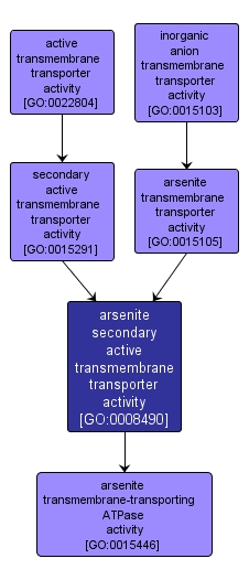 GO:0008490 - arsenite secondary active transmembrane transporter activity (interactive image map)