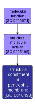 GO:0016490 - structural constituent of peritrophic membrane (interactive image map)