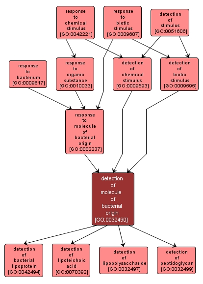 GO:0032490 - detection of molecule of bacterial origin (interactive image map)