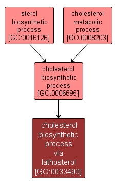 GO:0033490 - cholesterol biosynthetic process via lathosterol (interactive image map)
