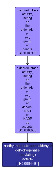 GO:0004491 - methylmalonate-semialdehyde dehydrogenase (acylating) activity (interactive image map)