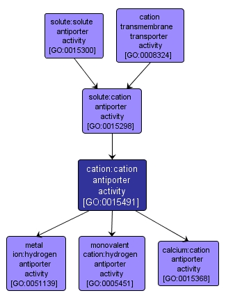 GO:0015491 - cation:cation antiporter activity (interactive image map)