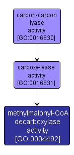 GO:0004492 - methylmalonyl-CoA decarboxylase activity (interactive image map)