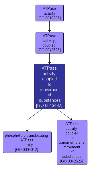 GO:0043492 - ATPase activity, coupled to movement of substances (interactive image map)