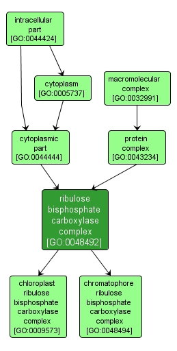 GO:0048492 - ribulose bisphosphate carboxylase complex (interactive image map)