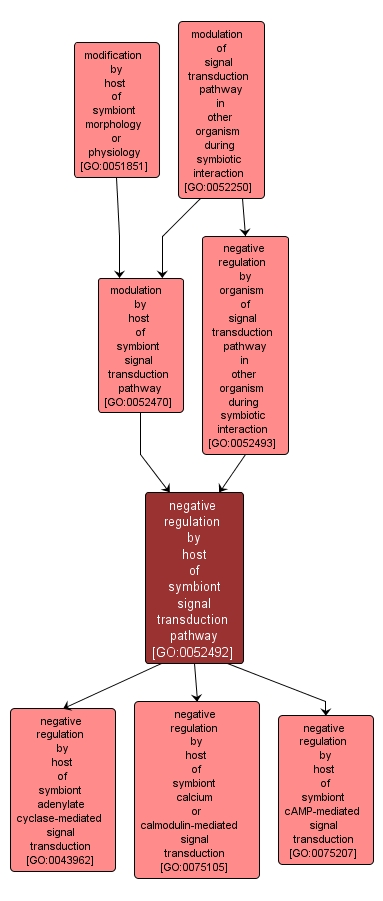 GO:0052492 - negative regulation by host of symbiont signal transduction pathway (interactive image map)