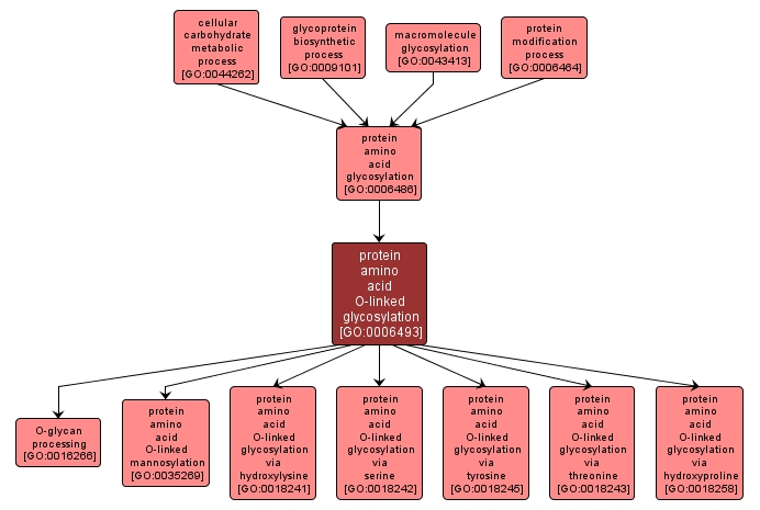 GO:0006493 - protein amino acid O-linked glycosylation (interactive image map)