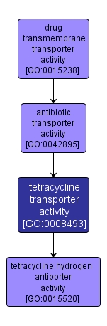 GO:0008493 - tetracycline transporter activity (interactive image map)
