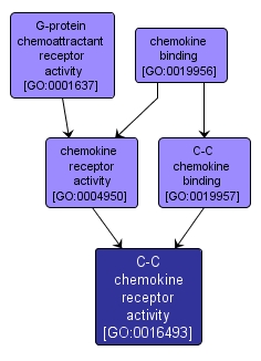 GO:0016493 - C-C chemokine receptor activity (interactive image map)
