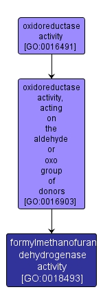 GO:0018493 - formylmethanofuran dehydrogenase activity (interactive image map)