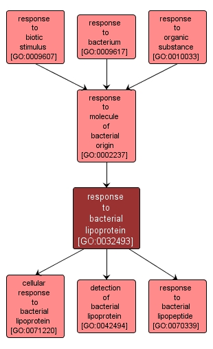 GO:0032493 - response to bacterial lipoprotein (interactive image map)