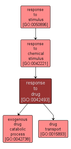 GO:0042493 - response to drug (interactive image map)