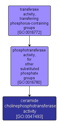 GO:0047493 - ceramide cholinephosphotransferase activity (interactive image map)