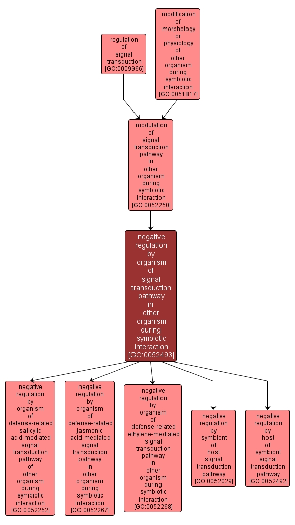 GO:0052493 - negative regulation by organism of signal transduction pathway in other organism during symbiotic interaction (interactive image map)