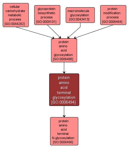 GO:0006494 - protein amino acid terminal glycosylation (interactive image map)