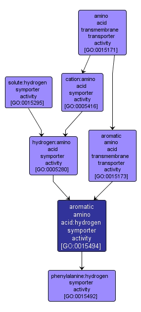 GO:0015494 - aromatic amino acid:hydrogen symporter activity (interactive image map)