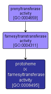 GO:0008495 - protoheme IX farnesyltransferase activity (interactive image map)