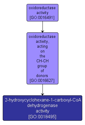 GO:0018495 - 2-hydroxycyclohexane-1-carboxyl-CoA dehydrogenase activity (interactive image map)