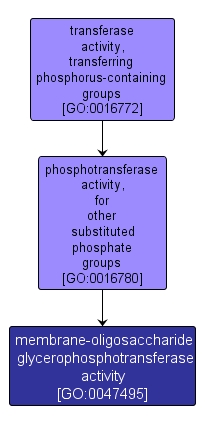 GO:0047495 - membrane-oligosaccharide glycerophosphotransferase activity (interactive image map)