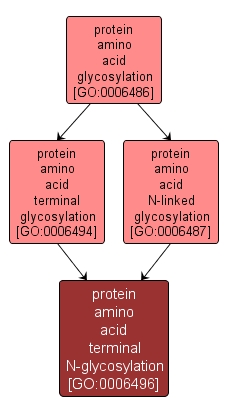 GO:0006496 - protein amino acid terminal N-glycosylation (interactive image map)