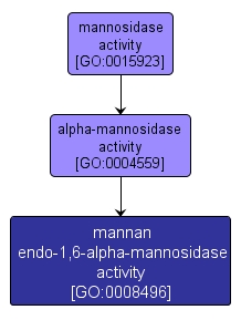 GO:0008496 - mannan endo-1,6-alpha-mannosidase activity (interactive image map)