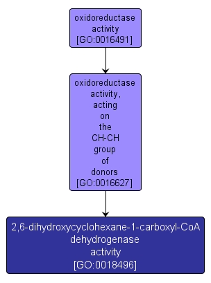 GO:0018496 - 2,6-dihydroxycyclohexane-1-carboxyl-CoA dehydrogenase activity (interactive image map)