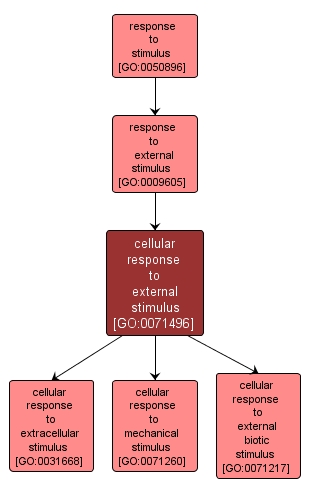 GO:0071496 - cellular response to external stimulus (interactive image map)