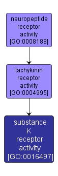 GO:0016497 - substance K receptor activity (interactive image map)