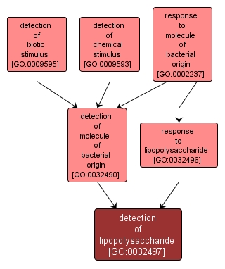 GO:0032497 - detection of lipopolysaccharide (interactive image map)