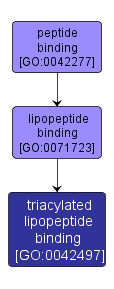 GO:0042497 - triacylated lipopeptide binding (interactive image map)