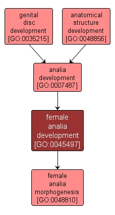 GO:0045497 - female analia development (interactive image map)