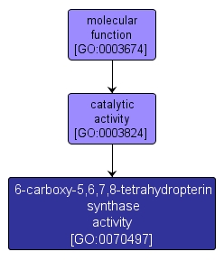 GO:0070497 - 6-carboxy-5,6,7,8-tetrahydropterin synthase activity (interactive image map)