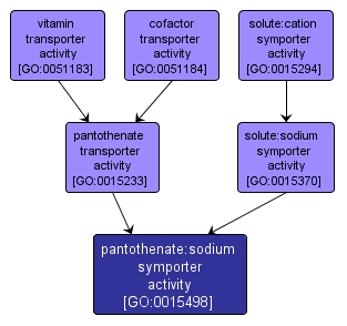 GO:0015498 - pantothenate:sodium symporter activity (interactive image map)
