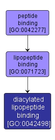 GO:0042498 - diacylated lipopeptide binding (interactive image map)