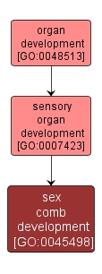 GO:0045498 - sex comb development (interactive image map)