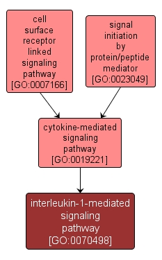 GO:0070498 - interleukin-1-mediated signaling pathway (interactive image map)