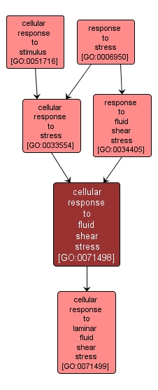 GO:0071498 - cellular response to fluid shear stress (interactive image map)