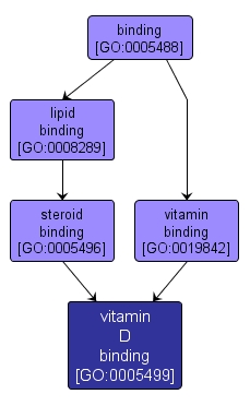 GO:0005499 - vitamin D binding (interactive image map)
