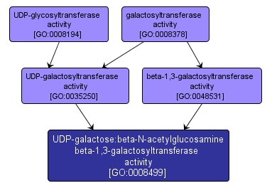 GO:0008499 - UDP-galactose:beta-N-acetylglucosamine beta-1,3-galactosyltransferase activity (interactive image map)