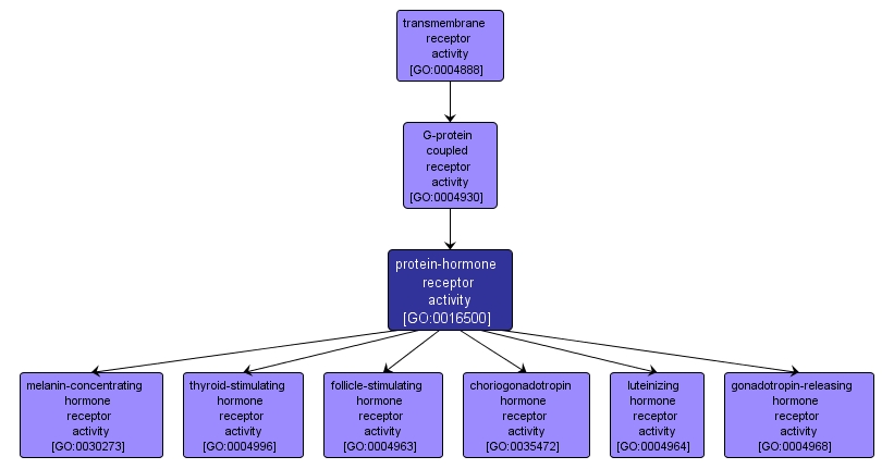 GO:0016500 - protein-hormone receptor activity (interactive image map)