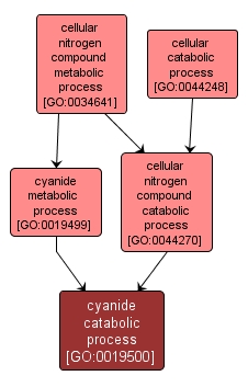 GO:0019500 - cyanide catabolic process (interactive image map)