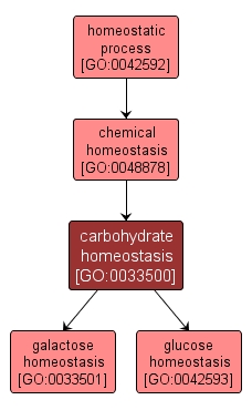 GO:0033500 - carbohydrate homeostasis (interactive image map)