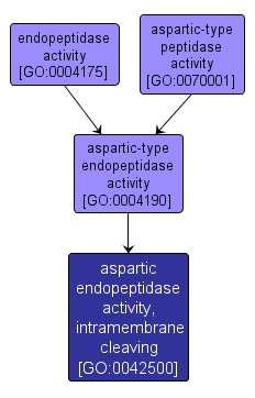 GO:0042500 - aspartic endopeptidase activity, intramembrane cleaving (interactive image map)