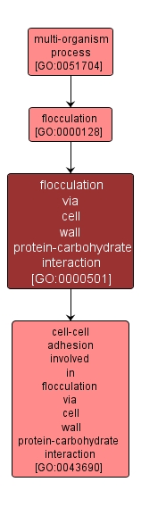 GO:0000501 - flocculation via cell wall protein-carbohydrate interaction (interactive image map)